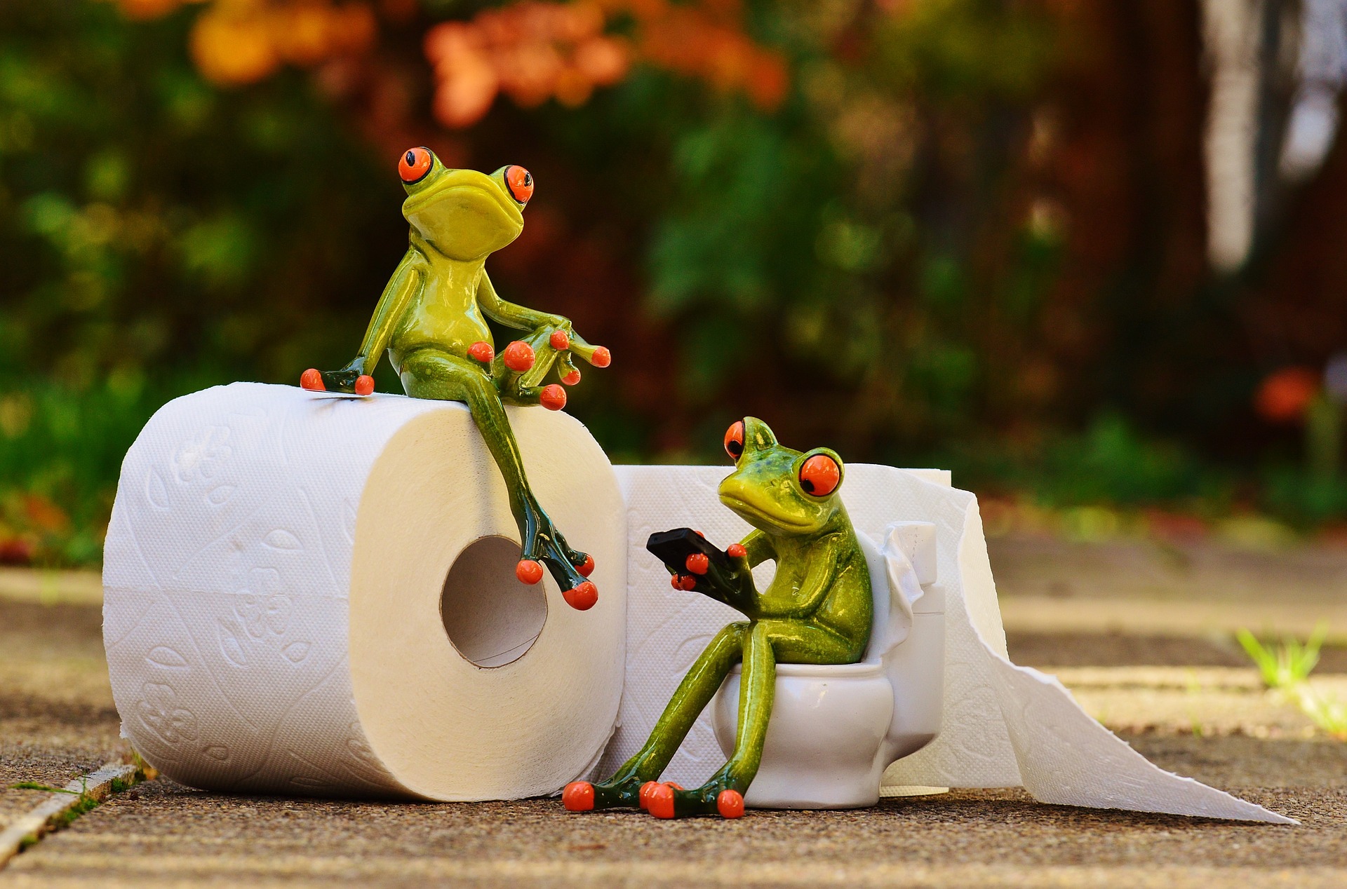 frog-1037261_1920